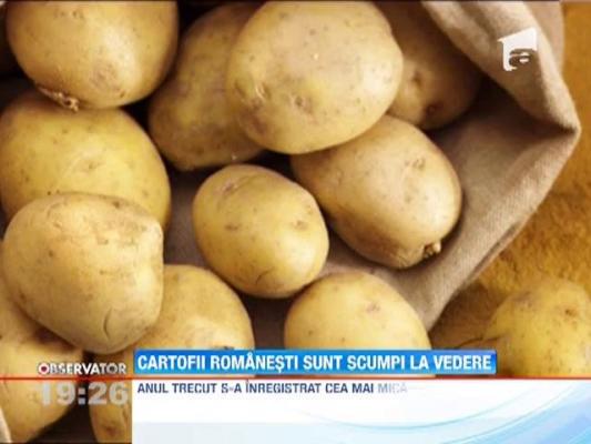 Caldura si lipsa ploilor au stricat, deja, recolta de cartofi