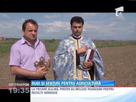 Rugi si sfaturi pentru agricultura