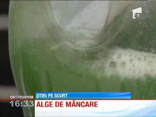 Algele devin comestibile