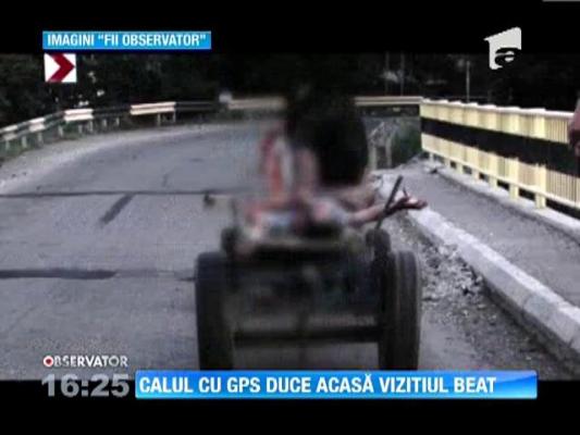 Un barbat baut, filmat in timp ce era dus de calul sau spre casa