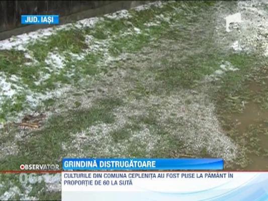 Seara furtunoasa in Iasi! Grindina a distrus recoltele in doar zece minute