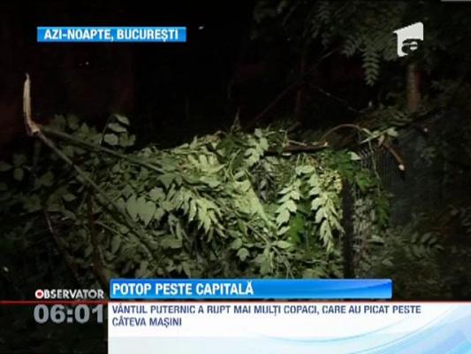 UPDATE! Furtuna violenta in Bucuresti! Tunete, fulgere si copaci doborati de vijelie