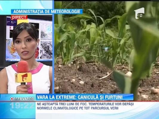 Vara la extreme: Ne asteapta canicula si furtuni puternice