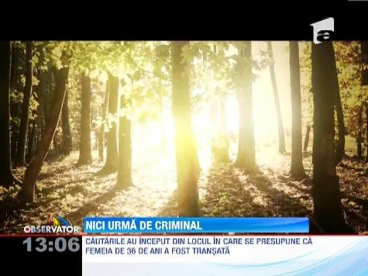 Arges: Au fost reluate cautarile in cazul femeii ucise si transate
