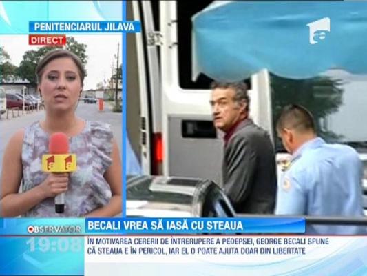 Becali cere sa fie eliberat pentru a rezolva situatia Stelei