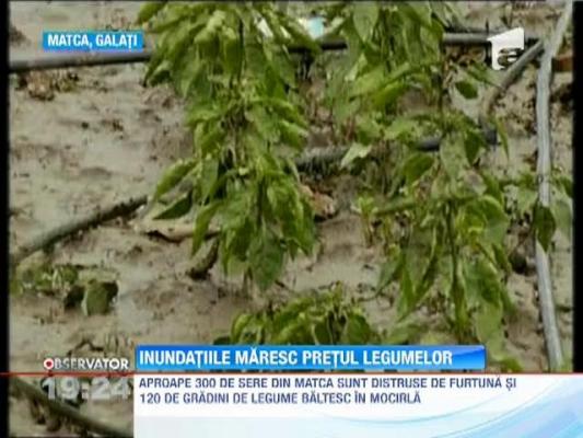 Inundatiile maresc pretul legumelor