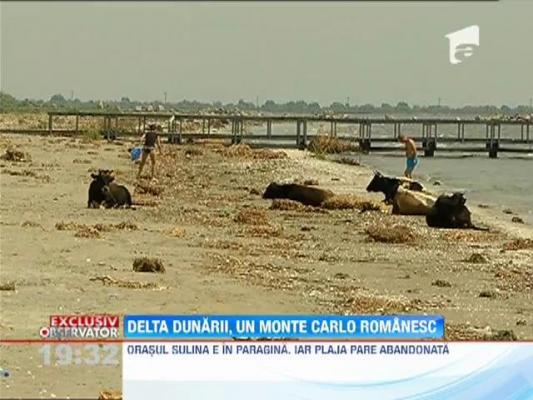 O plimbare cu barca in Delta Dunarii, pe o distanta de 20 de kilometri, costa 150 de euro