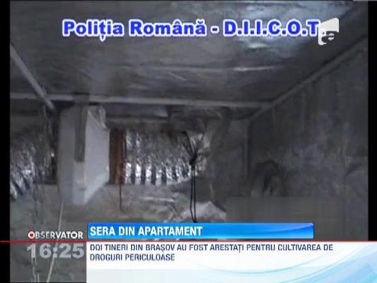 Doi frati din Brasov, arestati pentru cultivare de droguri periculoase