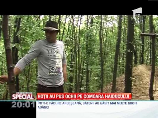 SPECIAL!!! Hotii au pus ochii pe comoara haiducului din padurea Cocu