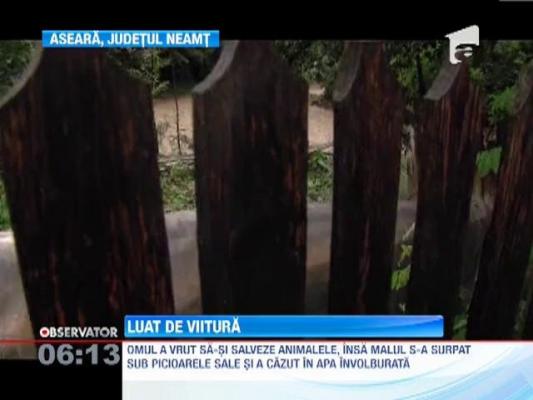 Barbat ucis de viitura, in Neamt