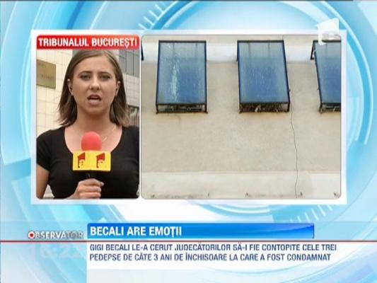 Procurorii cer un spor de un an de inchisoare pentru Becali