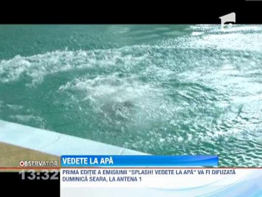"Splash! Vedete la apa" incepe la Antena 1, in aceasta duminica