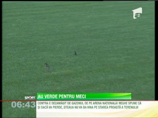 Cosmin Contra, nemultumit de starea gazonului de pe Arena Nationala