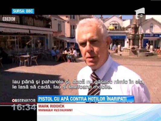 Restaurant terorizat de pescarusi