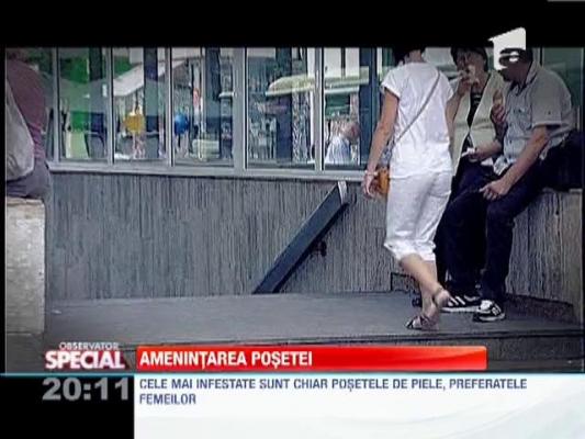 SPECIAL! Banala geanta, focar de infectie