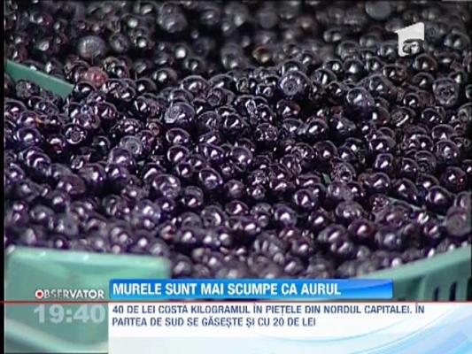 Fructele de padure au ajuns mai scumpe decat aurul