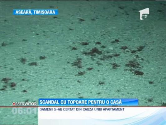 Timisoara: Bataie cu sabii si topoare intre doua clanuri de rromi