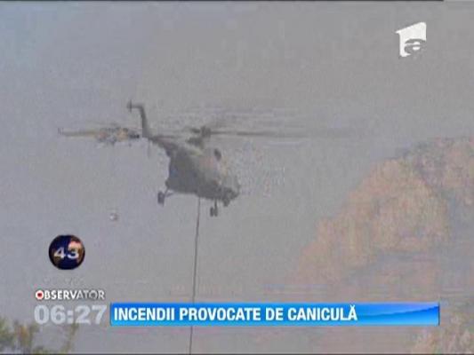 Incendiile de vegetatie fac ravagii in Bosnia Hertegovina