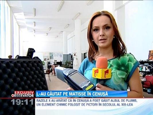 Ramasitele tablourilor din Olanda au fost analizate in laboratorul Muzeului National de Istorie