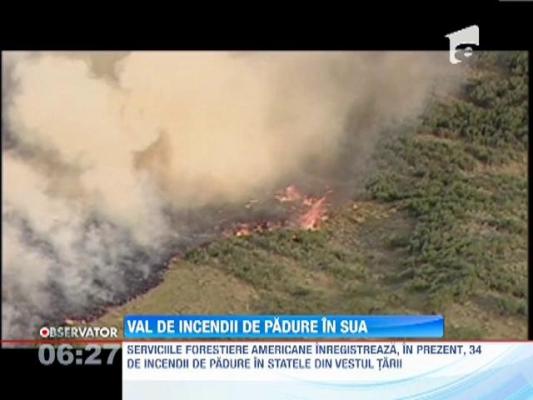 Incendiile de padure fac ravagii in SUA