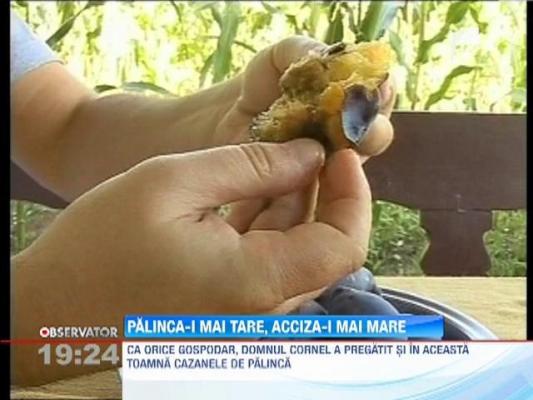 Guvernul majoreaza accizele pe alcool. Tuica va fi cu 20 la suta mai scumpa