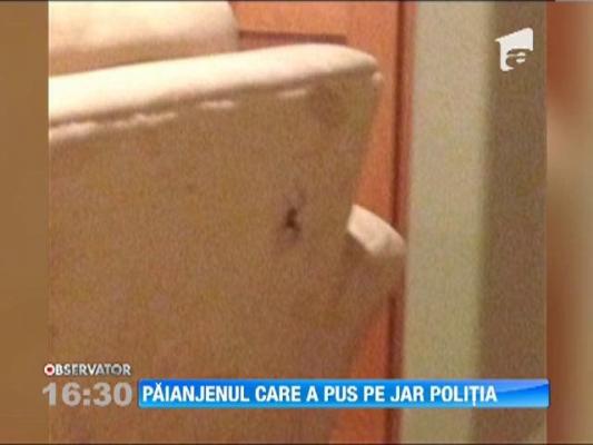 Paianjenul care a pus pe jar politia