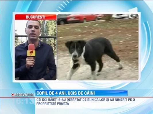 Un copil a fost ucis de caini, in apropierea Parcului Tei, din Capitala