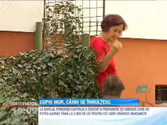 In medie, 40 de bucuresteni ajung zilnic la urgenta muscati de maidanezi