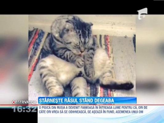 O pisca din Rusia starneste rasul... stand degeaba