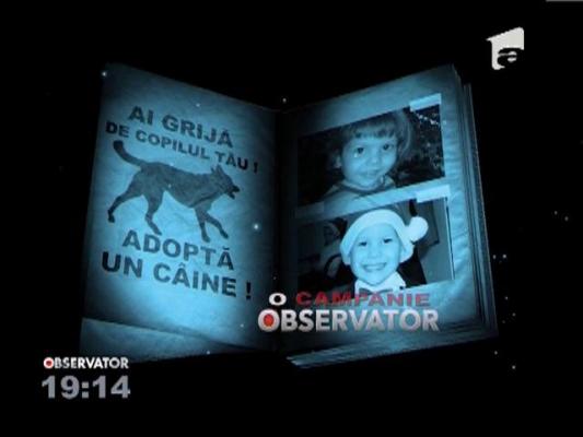 AI GRIJA DE COPILUL TAU! Adopta un caine!