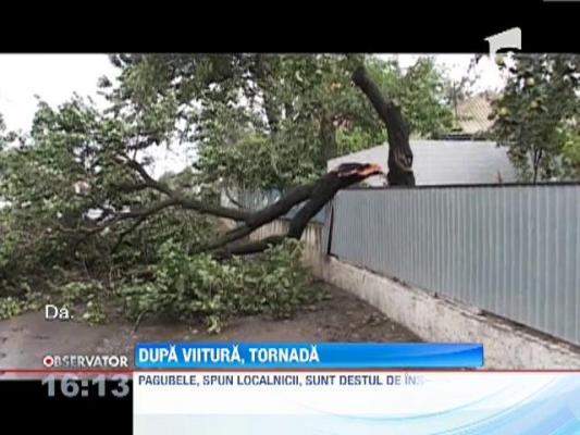 O tornada a facut prapad in Tulcea