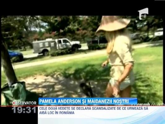 Pamela Anderson intra in lupta pentru maidanezii din Romania