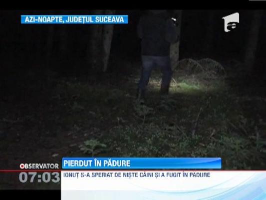 Copil de sase ani, ratacit intr-o padure din Suceava