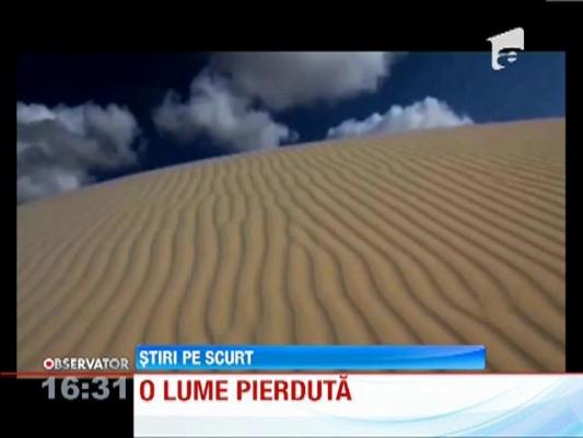 Socotra, insula cu o vegetatie nemaiintalnita nicaieri pe Pamant