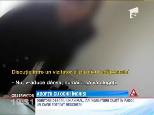 Acordul Politiei pentru adoptarea unui caine!