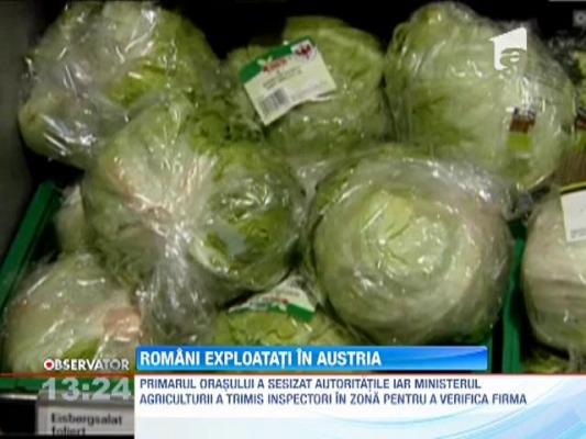 Zeci de romani, angajati la o firma din Austria, au protestat in fata cladirii, fata de conditiile grele de munca