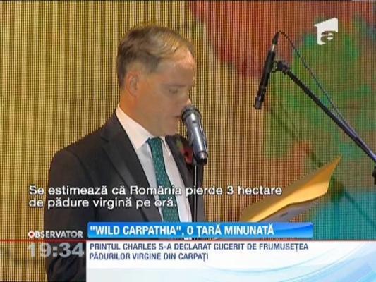 Printul Charles, in documentarul "Wild Carpathia": "Romania risca sa piarda pe mana ei toate frumusetile naturale"