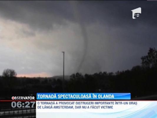 O tornada a facut ragavii intr-un orasel din Olanda