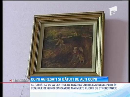 Update! Copii agresati si batuti de adolescentii din Centrul de Plasament din Oradea