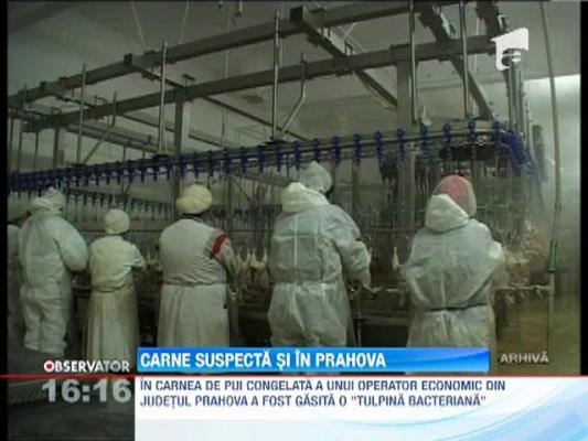 Salmonella, depistata in carne de pui