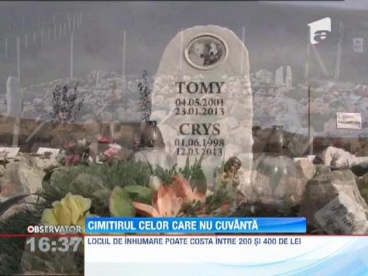 Cimitirul celor care nu cuvântă