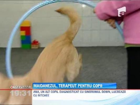 Maidanezul, terapeut pentru copii