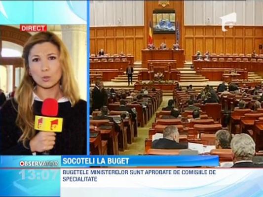 În 2014, vor fi mai mulţi bani pentru Agricultură şi Sănătate