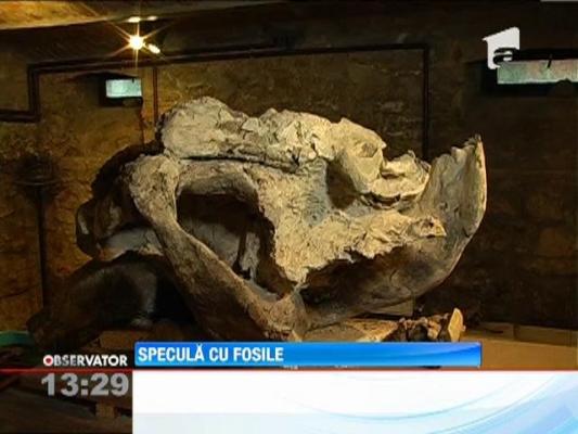 Pe site-urile cu anunţuri, speculanţii de ocazie au scos la vânzare colţi de mamut