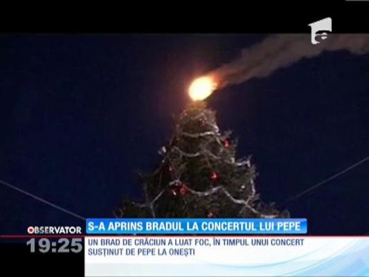 Un brad de Crăciun a luat foc la un concert susţinut de Pepe