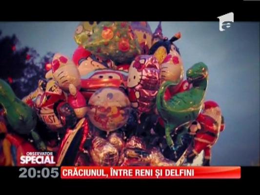 SPECIAL! Crăciunul, între reni si delfini