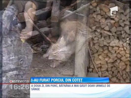 Hoţii au prădat-o, apoi i-au sacrificat şi porcul, şi câinele!
