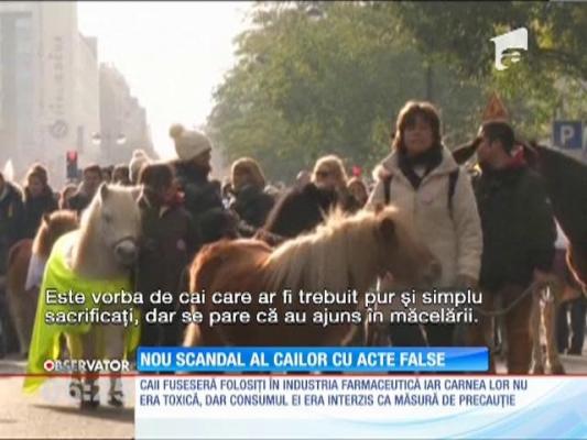 21 de persoane trafic cu carne de cal