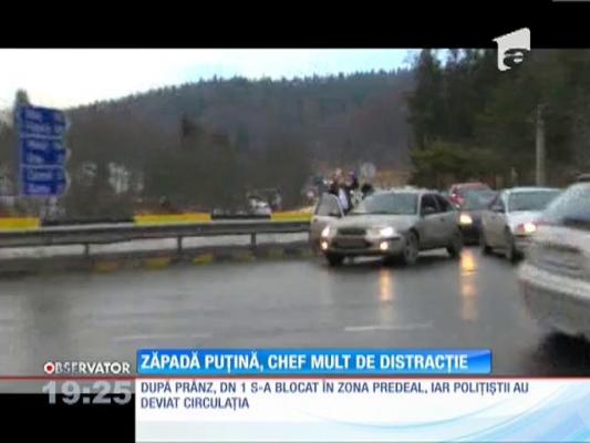 Zăpadă puţină la munte, chef mult de distracţie