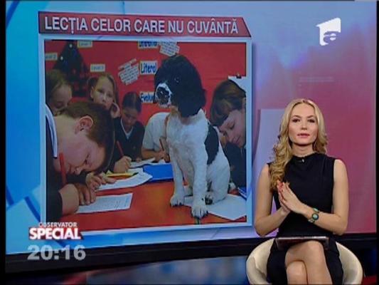 SPECIAL! Ce ne învaţă animalele